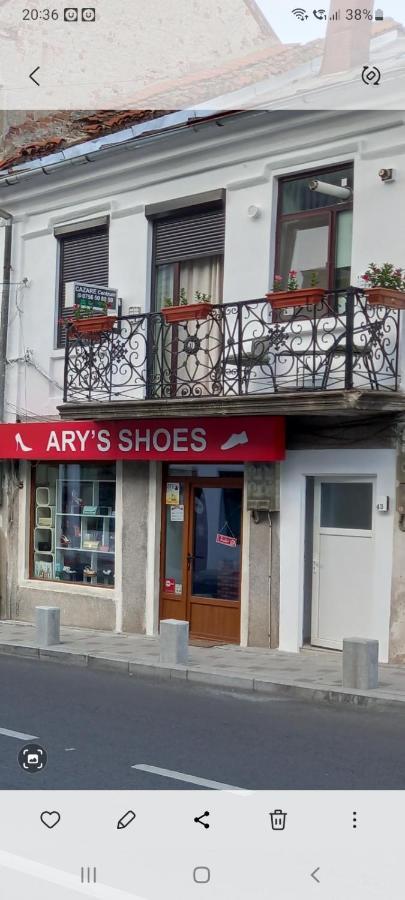 Cazare Centrum Curtea de Argeş Esterno foto